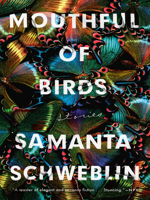 Title details for Mouthful of Birds by Samanta Schweblin - Wait list